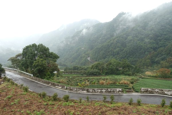 南山寺觀景台3086092