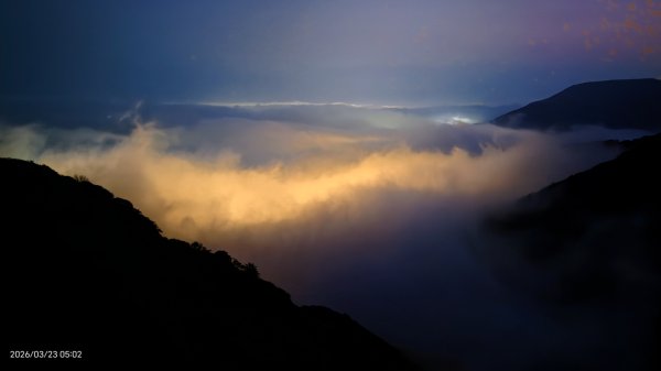 #大屯山 #日出 #雲海 #琉璃光 #橘咖啡 #吉野櫻 3/233020506