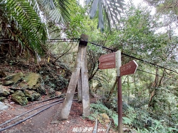 【南投仁愛】武界部落采風2972899