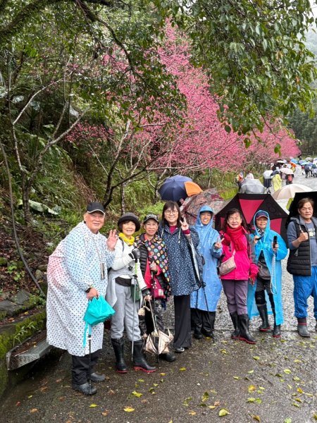 台北國軍英雄館→宜蘭縣員山鄉燈篙林道→礁溪郷潭酵天地觀光工廠→冬山鄉田老爺餐廳2711983