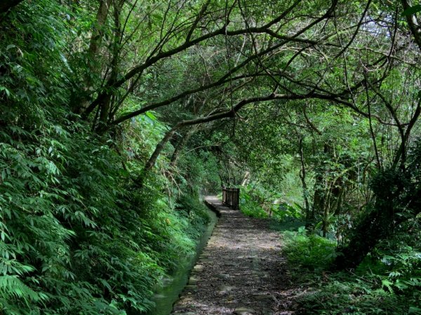 烏來 福山 大羅蘭溪古圳輕鬆步道785019