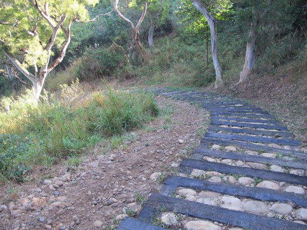 瑞井登山步道776979