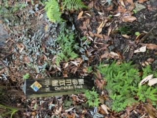 200621 貓仔們NO14小百岳獨立山1007229