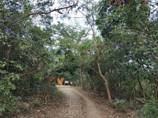 2023.12.24 高雄壽山2835320