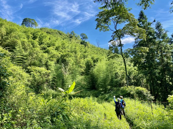 台中和平登觀音山東北峰.神谷山.遠藤山東峰.竹林.達觀山    2022/6/291749929
