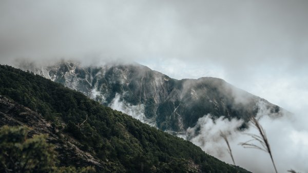 南橫百岳—關山嶺山2383955