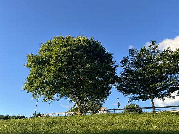 [2025臺北健走趣-02/49] 2025_0630_古亭河濱公園2825342