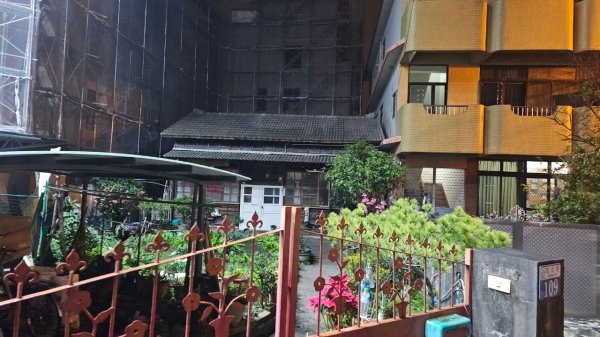 20250209橫沙笛鳶嘴醜肥大西稜O型2709369