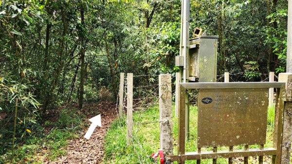 【中級山縱走】水雲三星，橫龍山，騰龍山，橫龍古道2742972