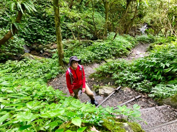 巴唐古道、三角崙山、聖母山莊步道O走1748489