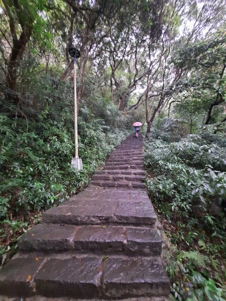2023/01/02 八里觀音山(小百岳)硬漢嶺2000599