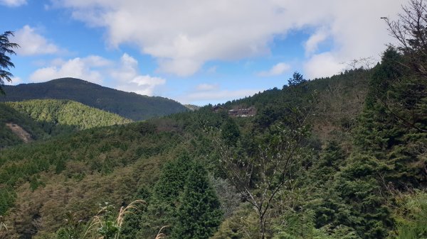 台灣山毛櫸步道1419314