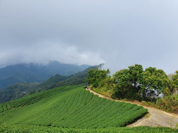 【雲嘉】連峰茶道之美1717474