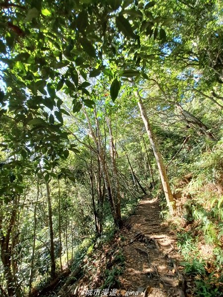 【台中和平】2022「谷關七雄，慢旅台中」登山活動認證。七雄中唯一有瀑布景觀~ 唐麻丹山x蝴蝶谷瀑布1775940