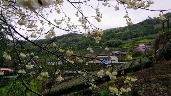 雅吾瑪斯步道826687