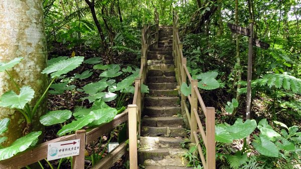 福州山,中埔山,黎和生態公園2234125