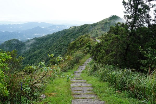 新北 瑞芳 頂子寮山、五分山2615529