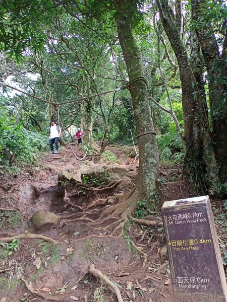 【臺北大縱走 2】鞍部→大屯群峰→清天宮1276384