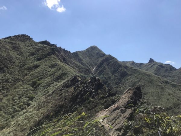 1070311 黃金五稜-劍龍嶺285350