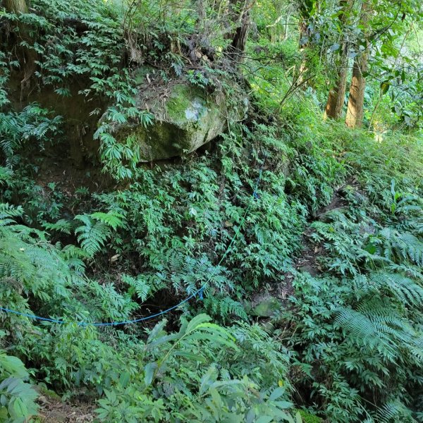 溪頭鳳凰山隆田線（小百岳）2350876