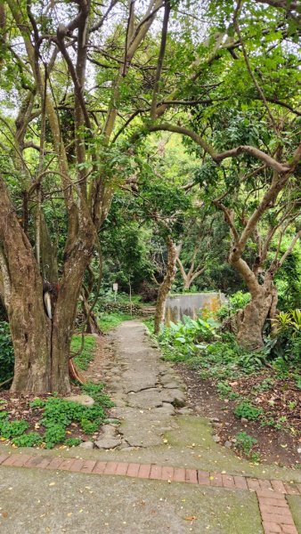 田中麒麟山連走田中森林公園北天宮O繞+ 田中大小劍逆走2756714