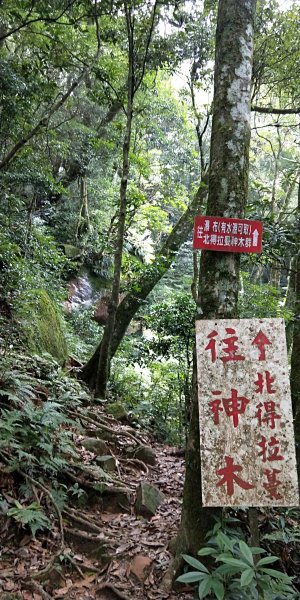 內鳥嘴山，北得拉曼神木群步道，瀑布初體驗1062650