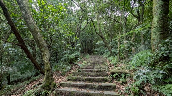 114.07.13三進三出七星山之旅2837152