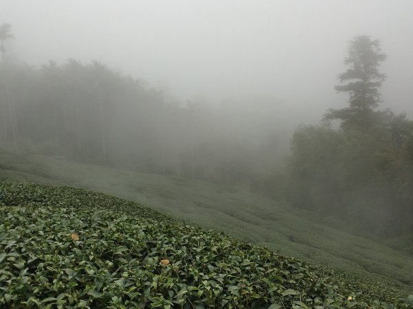 松腳~獨立山~大巃頂~孝子步到~太平老街818257