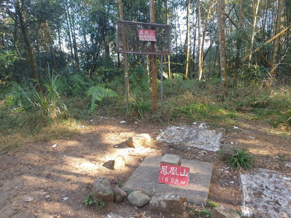 20230115鳳凰山、南鳳凰山、溪頭天文台2018700