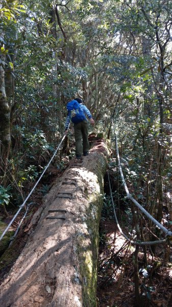 2020.03.08塔曼山874934