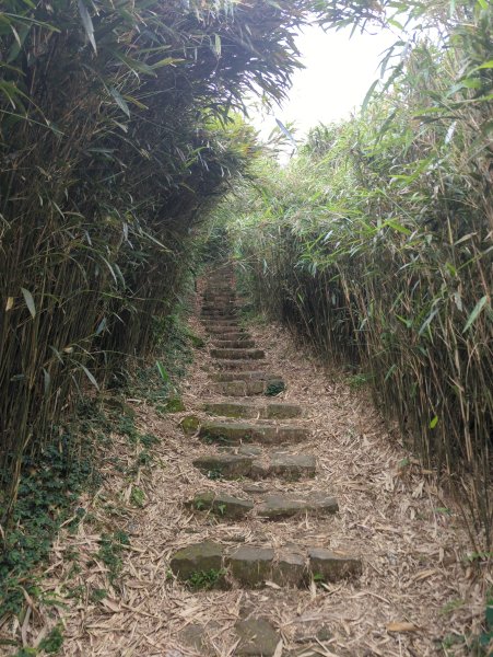2025.05.17－大屯山步道下清天宮2790023