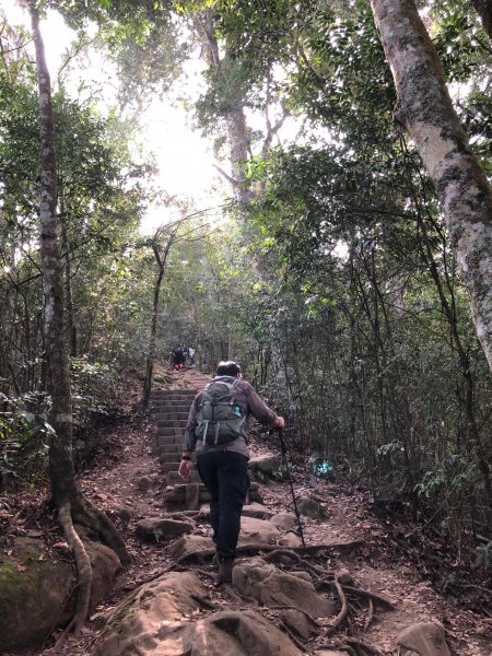 馬那邦山登山步道 NO 37 / 苗栗縣大湖鄉--我的第13座小百岳1598265