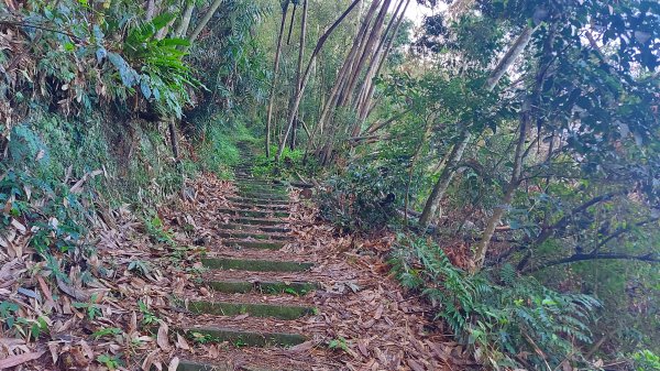 水社大山 水社主峰1597921