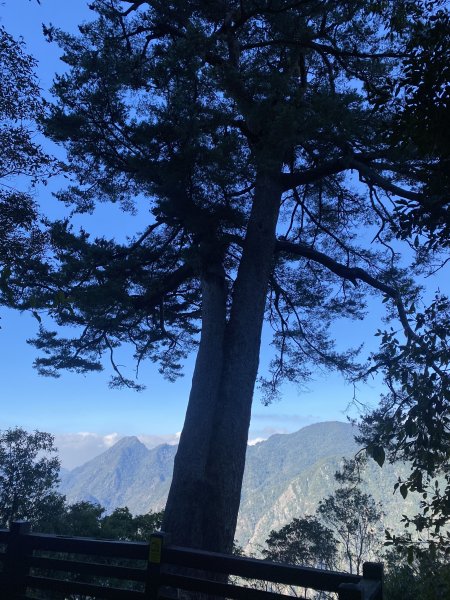 馬崙山11202103059277