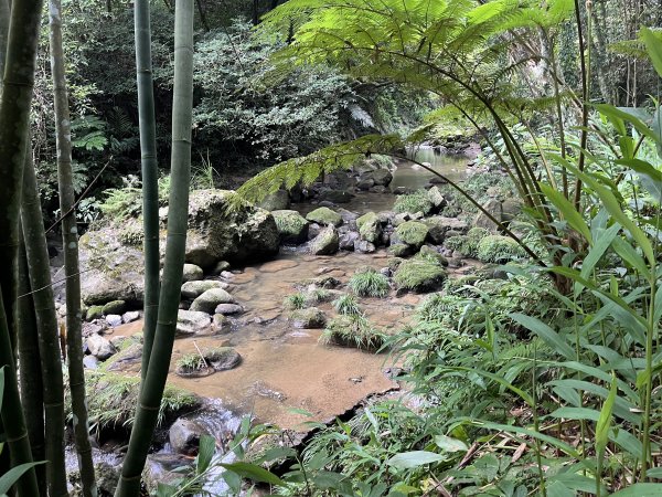 [皮皮獅探險隊-06/10] 2025_0706 四寮溪生態步道2831980