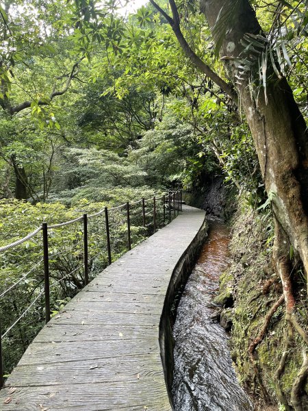 紗帽山半嶺水圳步道2650059