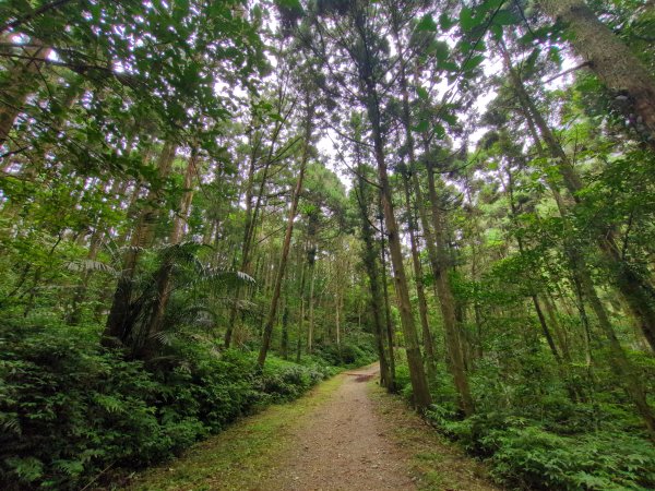 淡蘭古道中路2860306