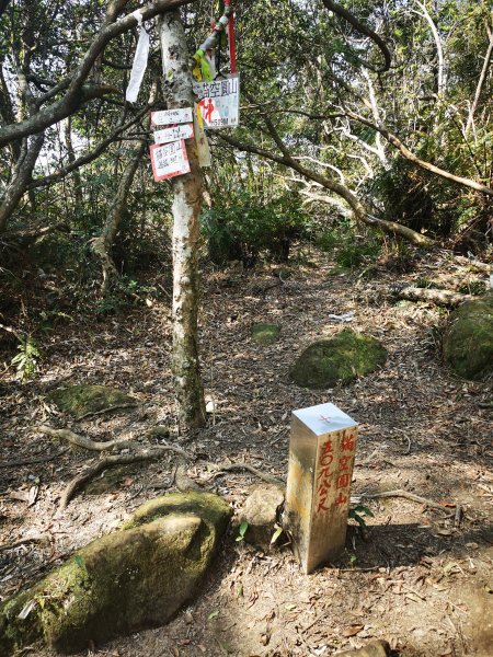 二格山越嶺貓空2735636