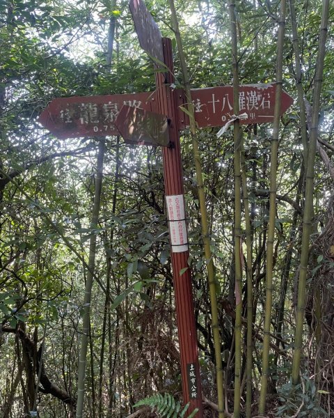 微笑山⛰️線-大棟-二格山-五分山-天上山-鳶山💎12條步道完成💙2837223