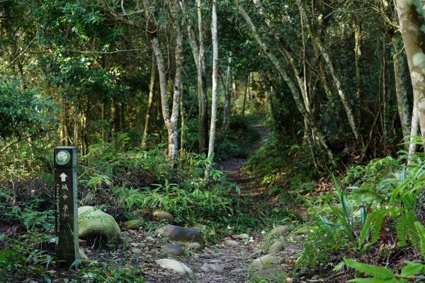 臺中 新社 頭嵙山2309736