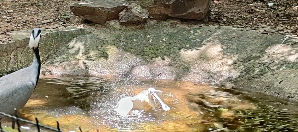 杭州動物園3089153