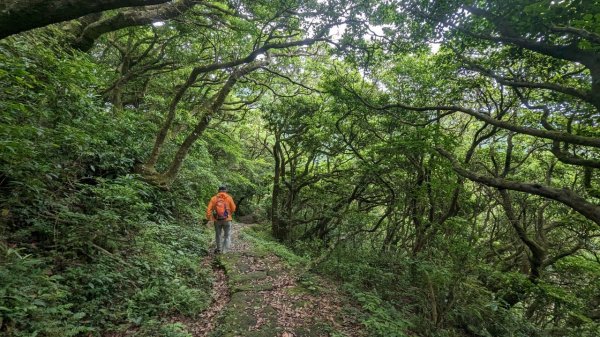 112.05.14走遍陽明山尋寶任務之菜公坑山-二子坪2151304