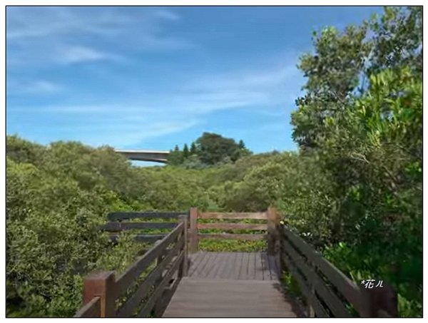 新豐紅樹林木棧步道2707056
