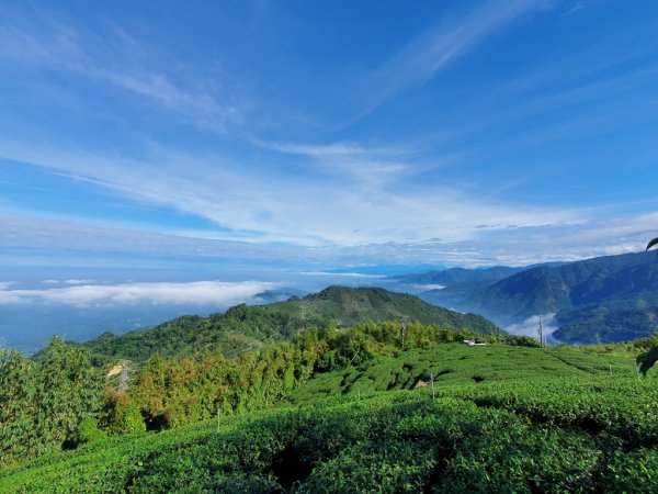 【雲嘉茶園之美】後棟山連走大二尖山1532200