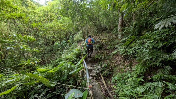 114.06.14雙石縱走&石門水庫-石牛山之旅2812257