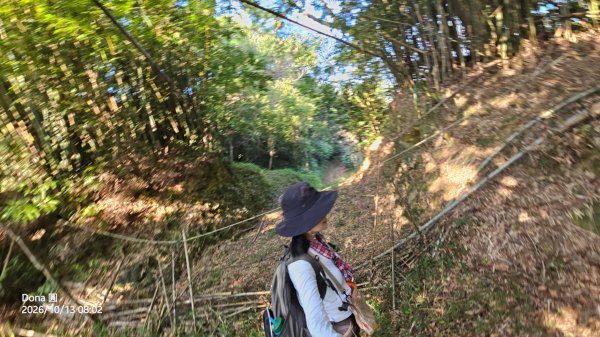 頭圍山、礁水坑山南峰、礁水坑山三峰連走3134635
