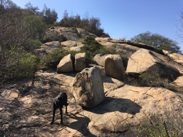 太武山蔡厝往斗門O型路線1222925