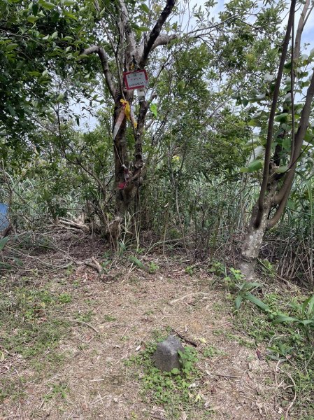 魚猴13連峰2757349