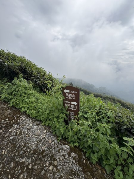 20251024雲嘉五連峰+碧湖山2924299