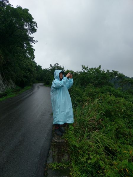 筆架連瘋（炙子頭山,筆架山,二格山）395092